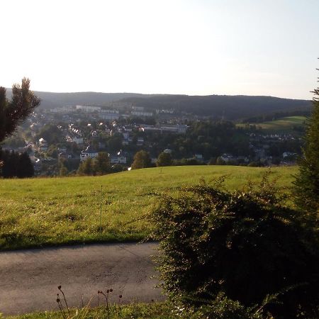 Ferienwohnung Koernerberg Klingenthal Eksteriør bilde