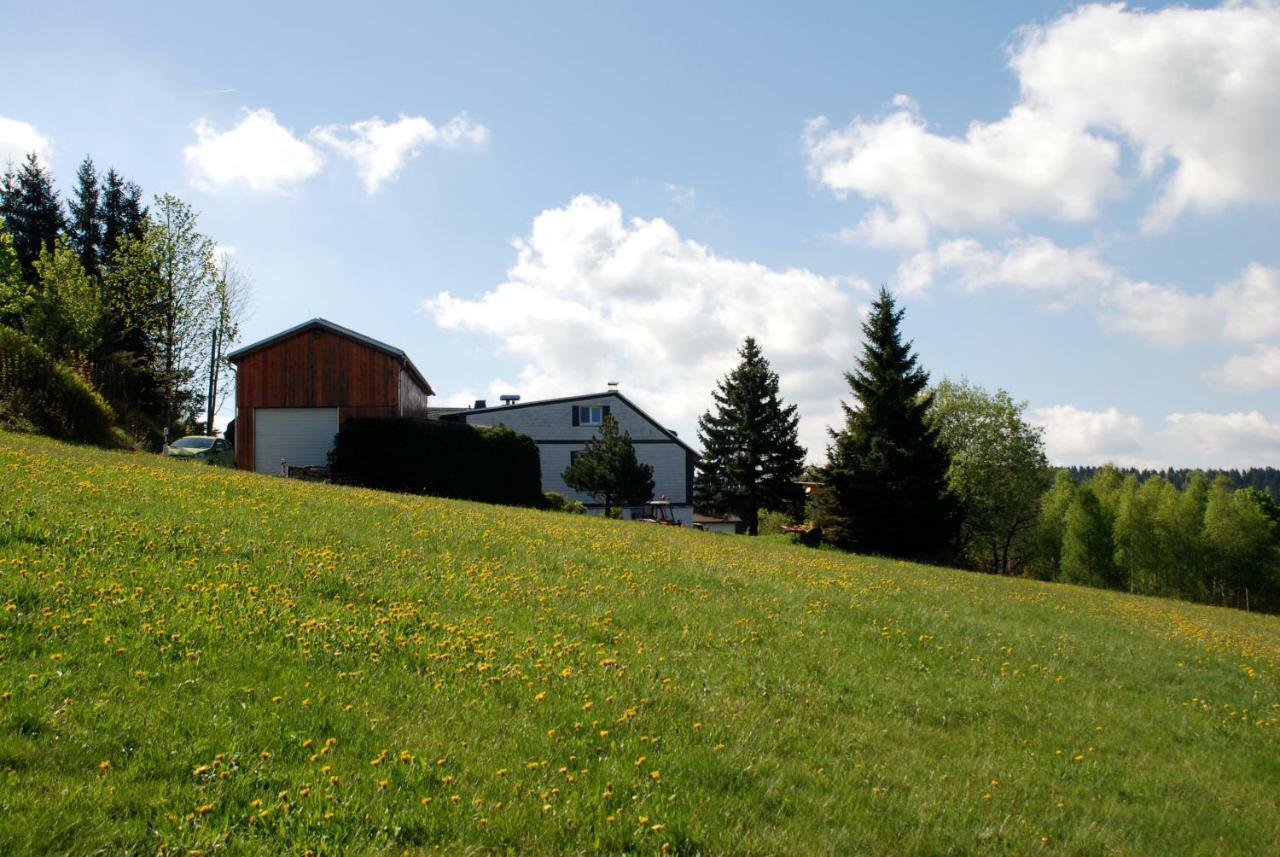 Ferienwohnung Koernerberg Klingenthal Eksteriør bilde